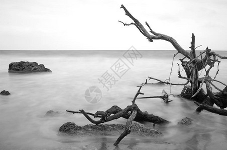 海边灯塔黑白海边黑白长曝光背景