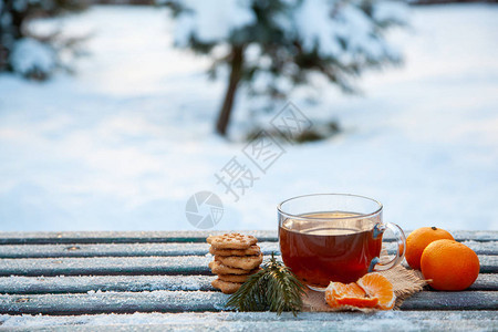 冬季森林里的一杯热茶橘子和饼干圣诞静物的概念复制空图片