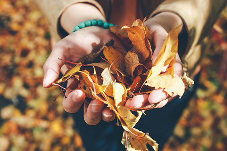 女孩手中的秋叶秋天的心情秋季时间晴朗的秋天气秋天的女孩享受落叶落黄图片