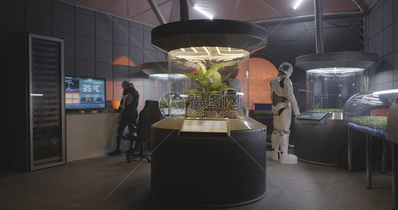生物学家和人形机器人在火星基地实验室与植物孵化器一起图片
