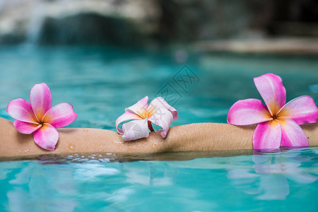 热带花朵丰盛的梅花漂浮在水中的利拉瓦迪人温泉池和图片