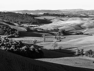 托斯卡纳乡村全景早上滚动的山丘意大利图片