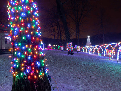 多色LED圣诞连线灯将树的干包起来图片