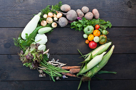食物营养素食成分概念图片