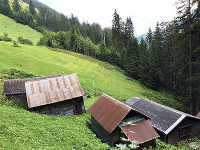 Oberseetal高山谷和Glarnerland旅游区的传统建筑和农舍图片