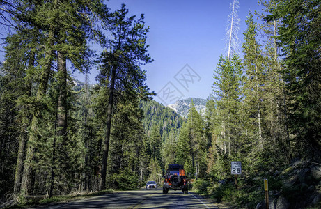 美国加利福尼亚州红杉公园高速公路上的suv汽车加利福尼亚风景如画的林地和山区图片