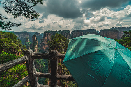 持绿伞观赏景和风景观点的旅游者图片