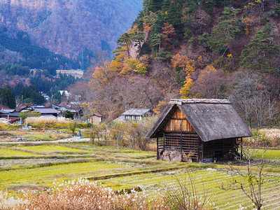 在日本白川地村图片