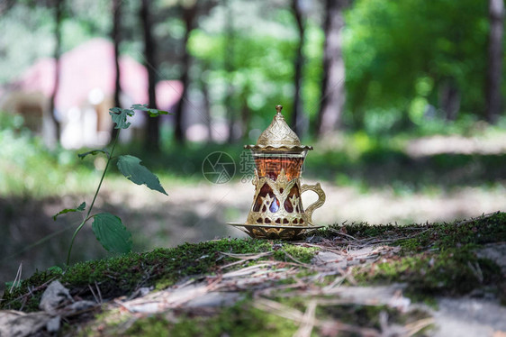 在森林的玻璃东方红茶东方茶概念Armudu传统杯绿色自然背景图片