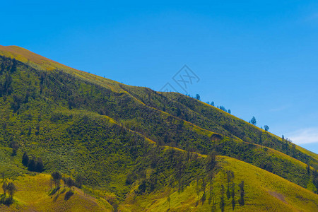 印度尼西亚东爪哇公园的布罗莫萨凡纳绿山旅游和假期度假概念图片