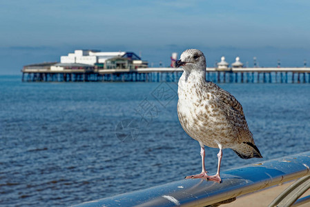 BlackpoolPleasureBeach通常被称为Resort或在英格兰简称为Beach照片拍摄于2019年9月19日图片