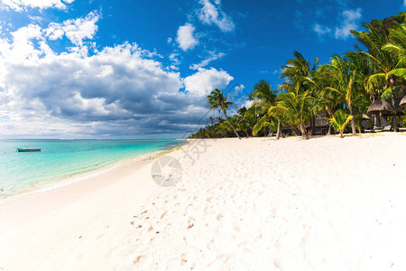 毛里求斯度假村的美丽景色透明的海洋白色的沙滩棕榈树和蓝天图片