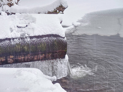 有白雪覆盖的树木的未结冰的冬季湖图片