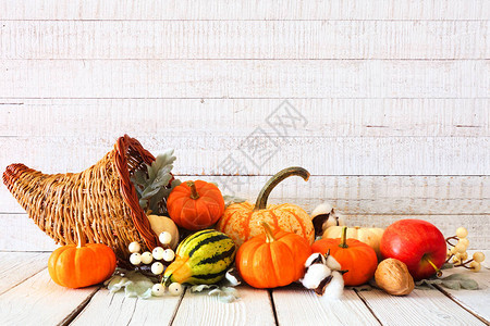 满秋天蔬菜和南瓜的感恩节玉米椰子与生锈的白色图片