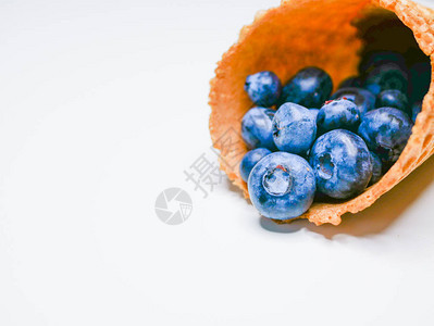 白底蓝莓冰淇淋红莓从角上喷出白底的图片