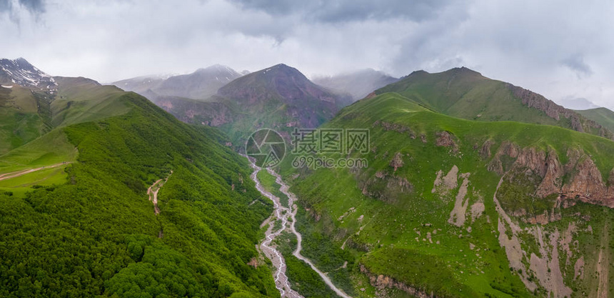 山坡上覆盖着茂密的森林和绿草图片