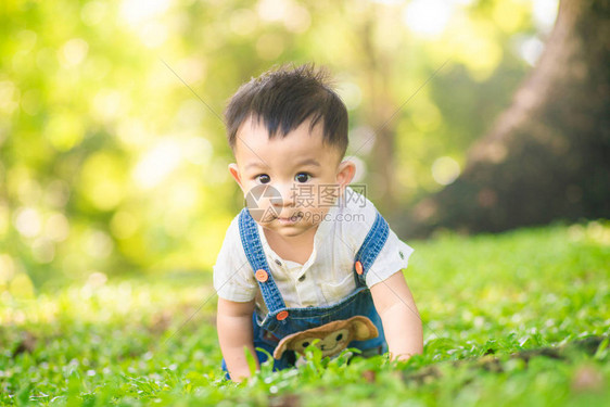 婴儿男孩爬上绿色草地的太阳光浅公园树上图片