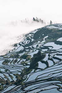 圆阳的田充满雾图片