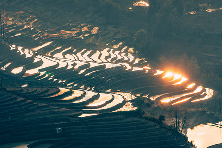 元阳哈尼梯田黄金时段背景