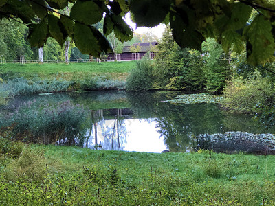 Eichweier或Eichweiher池塘三个庞德娱乐区或DasNaherhoungsgebeitDreeiWeihern图片