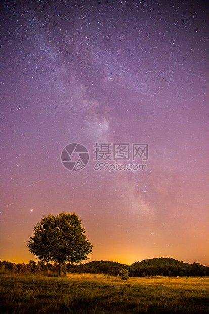 美丽的夜景有星草地和一棵树图片