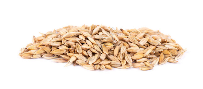 麦芽粒孤立在白色背景上Barl背景图片