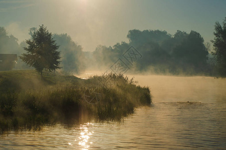 河上清晨芦苇薄雾河上水面图片