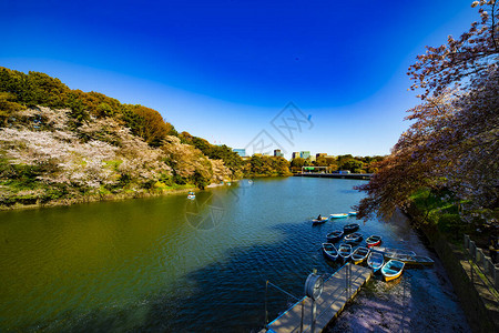 东京新宿区日本高清图片