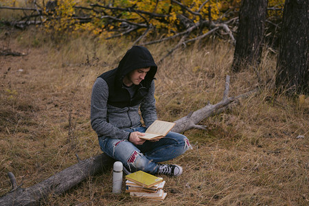 一个穿散衣的英俊男子坐在木头上在秋林图片