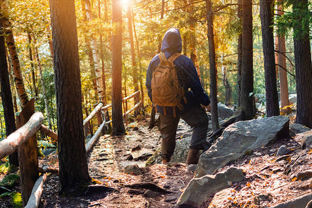 照片中一位男旅行者带着背包站在秋天的森林图片