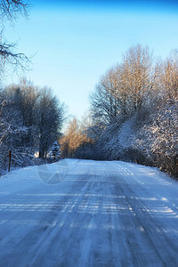 冬季道路景观阳光雪背景图片