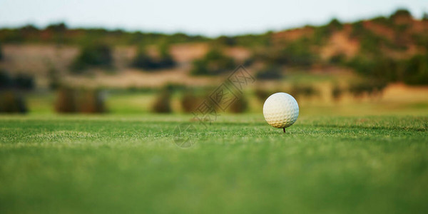 高尔夫球在果岭上的特写图片
