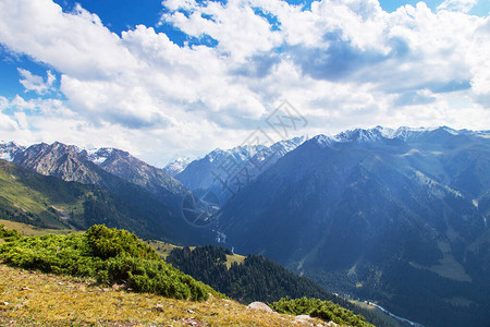 山地夏季风景雪山和绿草吉尔斯坦图片