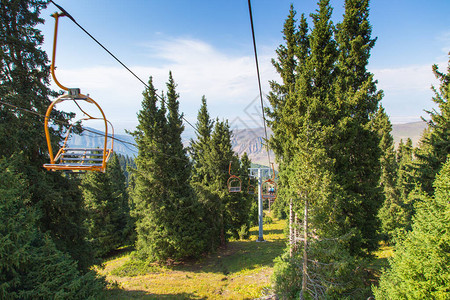 夏季山景高在山上高大的圣诞树滑雪基图片