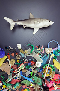在沙滩上收集的玩具鲨鱼和微塑料塑料图片