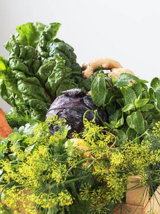 新鲜蔬菜在木箱里的特写农场蔬菜蔬菜上的水滴秋收和健康有图片
