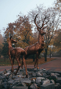 雾蒙的秋天公园和青铜鹿雕像图片
