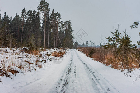 冬季雪路由田野和森林图片