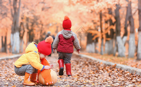 孩子们在大自然中行走暮光之城的孩子们在公园里走来去秋天城市公园叶落图片