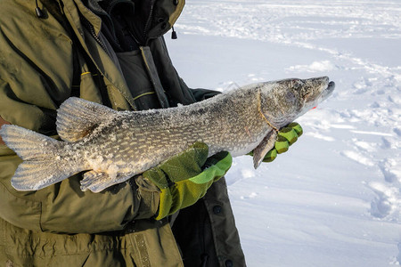 冬季渔人钓鱼时捕冰场钓鱼冬图片