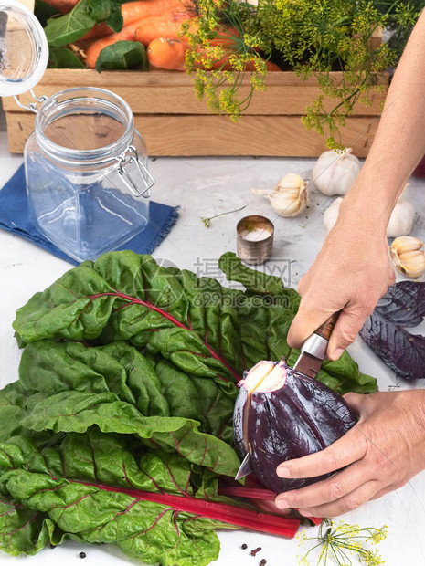 红卷心菜甜叶的特写镜头手剁白菜收获用于蔬菜的发酵木箱里的新鲜农场蔬菜健康有图片