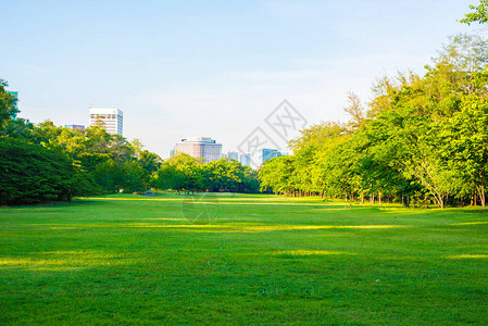 公园绿草坪与城公园图片