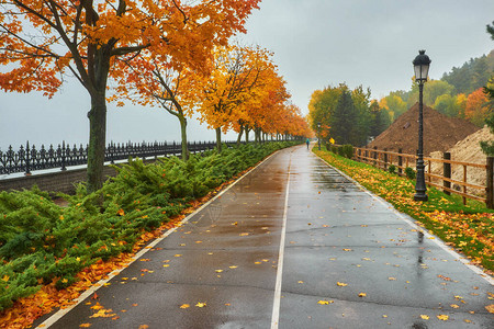 十月公园里的雨图片