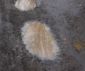 积雪和雨后乡村公路上水坑中树枝的图片