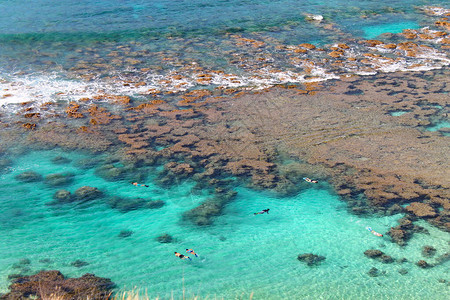 珊瑚礁和碧绿的海水哦恐龙湾图片
