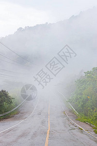 被雾覆盖的道路图片