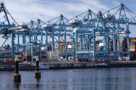 对荷兰MAASVLAKTE港集装箱码图片