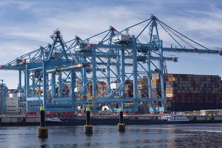 对荷兰MAASVLAKTE港集装箱码图片