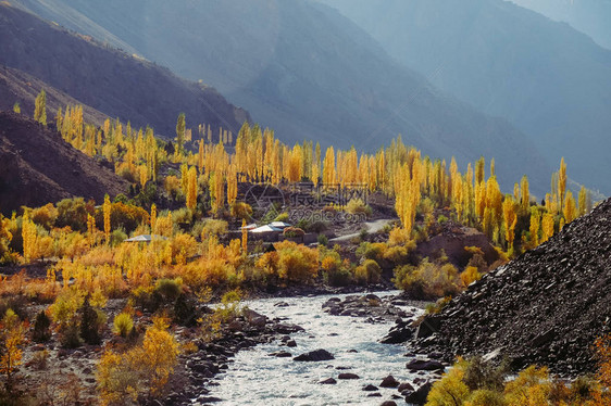 巴基斯坦吉尔特俾尔提斯坦GilgitBaltistan兴都库什山脉的GupisGhizer山谷秋图片