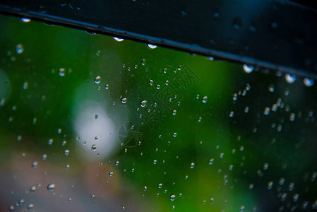 有绿树自然背景的玻璃上的雨滴浪漫片场景内容彩色雨滴图片